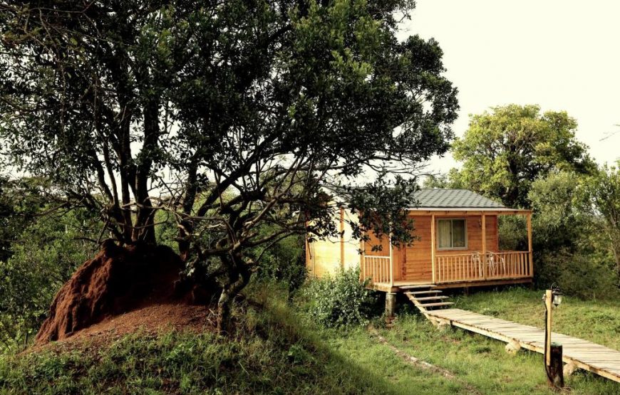 Jambo Mara Safari Lodge