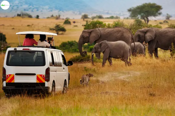 Maasai Mara